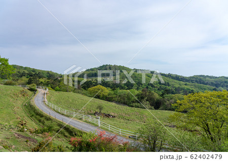 栃木県鹿沼市 前日光牧場 横根高原 (5月) 栃木県鹿沼市 前日光牧場 横根高原 (5月) 62402479