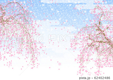 満開のしだれ桜のイラスト素材