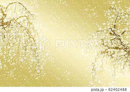 満開のしだれ桜 62402488