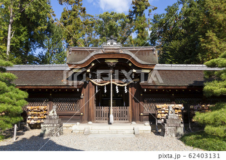 梅宮大社の本殿 梅宮大社の本殿 62403131