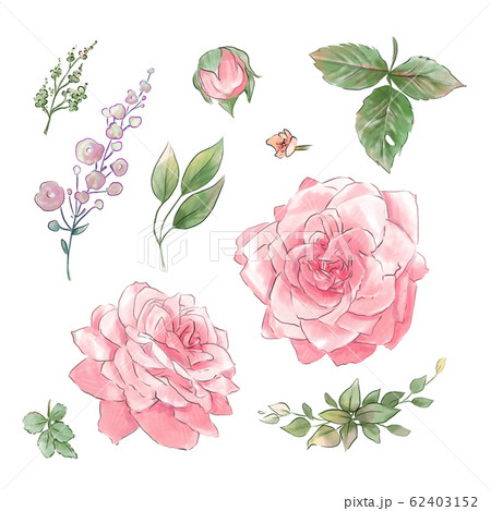 A large set of watercolors tender roses super quality. 62403152