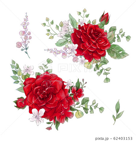 A large set of watercolors tender roses super quality. 62403153
