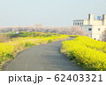 熊谷桜堤の風景 62403321