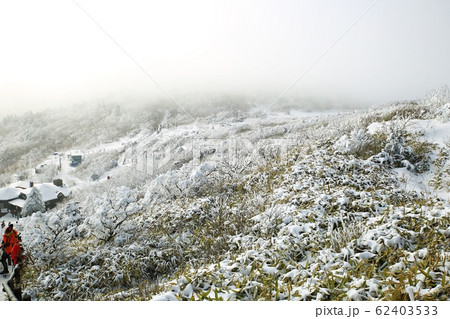 目 空 青 62403533