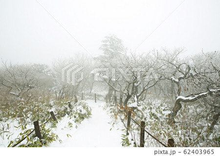 目 空 青 62403965