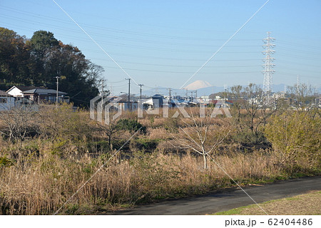 綱島から見た富士山と鶴見川(神奈川県横浜市) 綱島から見た富士山と鶴見川(神奈川県横浜市) 62404486