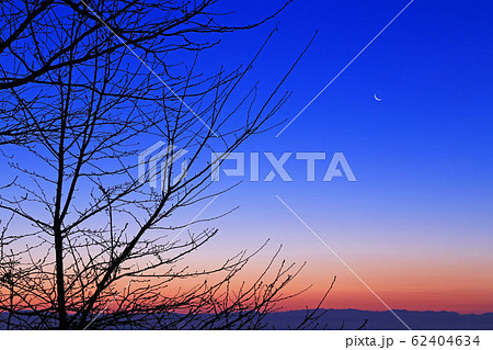 夜明けの月 夜明けの月 62404634