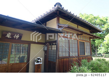 大仙公園~伸庵~ 大仙公園~伸庵~ 62405117