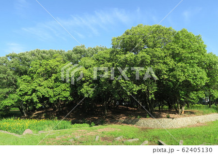 大仙公園 大仙公園 62405130