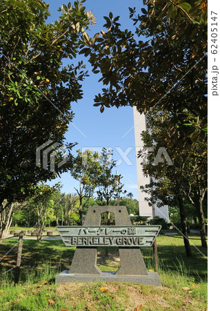 大仙公園~バークレーの森~ 大仙公園~バークレーの森~ 62405147