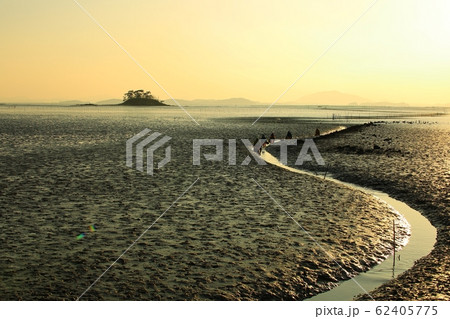 水平線 島 旅行 62405775