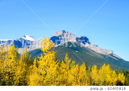 秋のカナディアンロッキー　紅葉（黄葉）のノース・サスカチュワン川（バンフ国立公園　カナダ） 62405818