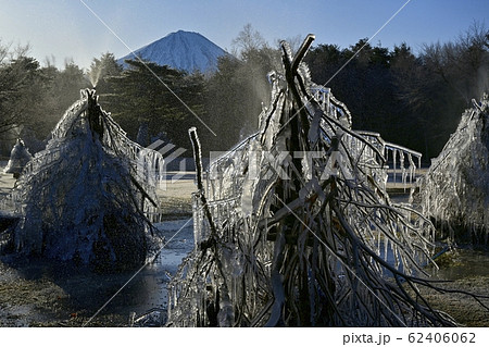 西湖野鳥の森公園の氷の造型と富士山 西湖野鳥の森公園の氷の造型と富士山 62406062