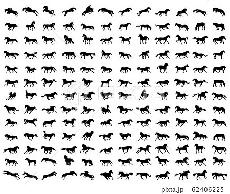 Big set of horses silhouettes on a white background 62406225