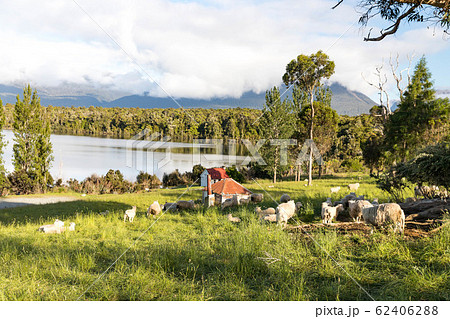 テ・アナウ湖 62406288