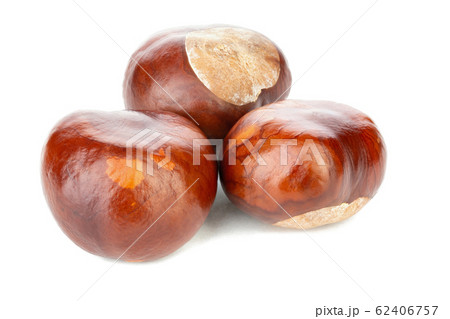 Mature chestnuts Mature chestnuts 62406757