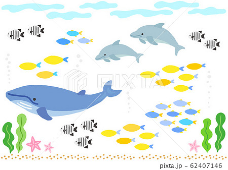 Sea Creature Whale Dolphin Fish Stock Illustration