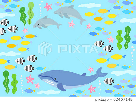 海の生き物 クジラ イルカ 魚のイラスト素材