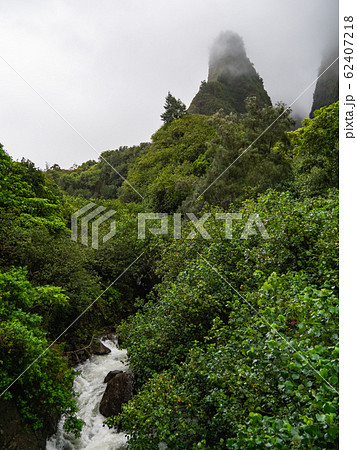 ハワイ マウイ島 イアオ渓谷州立公園 62407218