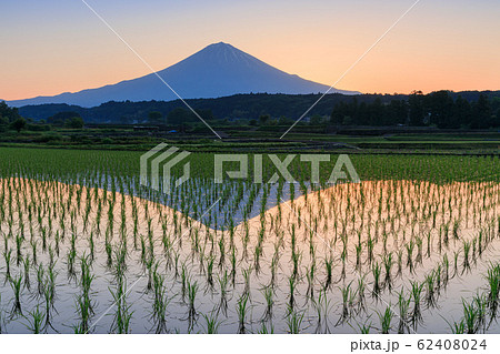 静岡_朝焼けの富士山風景 62408024