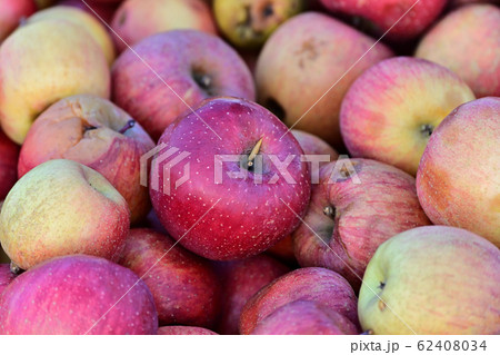 りんご 62408034