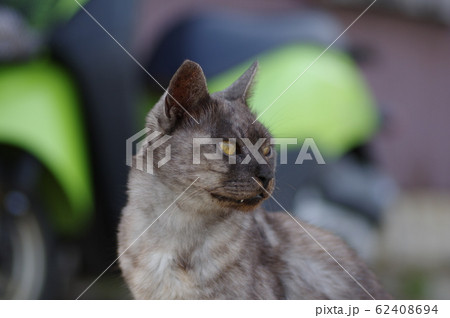 見つめる先に… 見つめる先に… 62408694