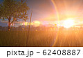 風景イメージCG_緑の木_夕焼け 62408887