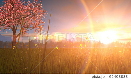 風景イメージcg 桜の木 夕焼けのイラスト素材 6240