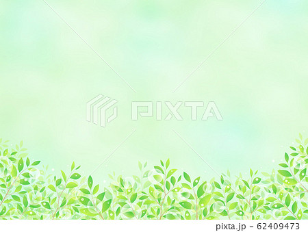 背景素材 木の葉のイラスト素材