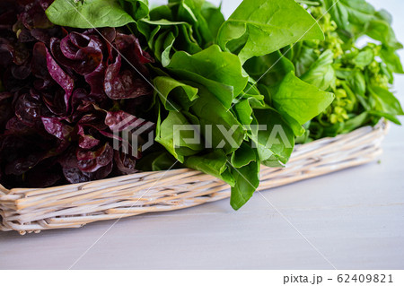 Fresh lettuce for healthy Fresh lettuce for healthy 62409821