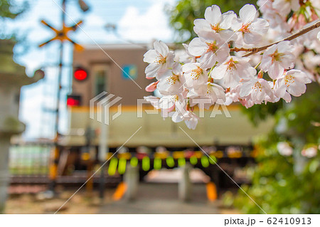 桜と踏切 62410913