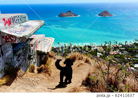 オアフ島　カイヴァリッジトレイル　ラニカイピルボックス 62411637