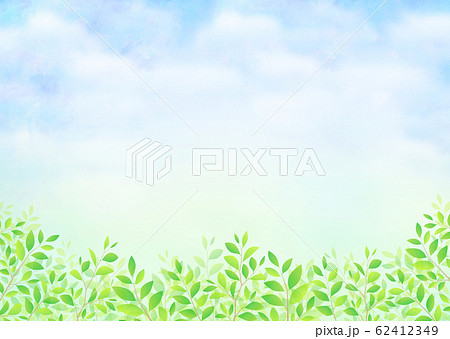 背景素材_木の葉 若葉 青葉 新緑 62412349