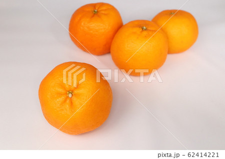 ぽんかん 62414221
