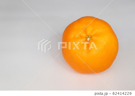 ぽんかん 62414229