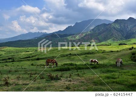 阿蘇の風景21の写真素材 [62415447] - PIXTA