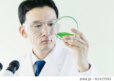 研究イメージ 62415563