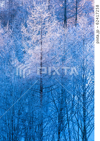《北海道》霧氷の森・冬の美瑛 《北海道》霧氷の森・冬の美瑛 62417258
