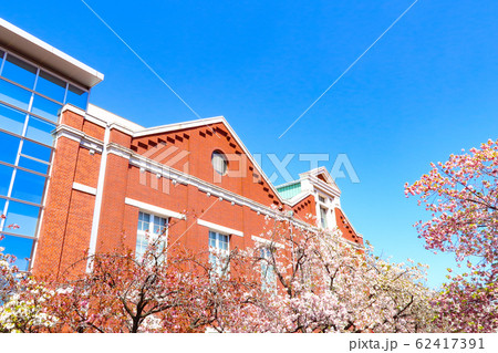 桜　造幣局　大阪 62417391