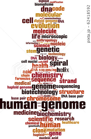 Human genome word cloud 62418592