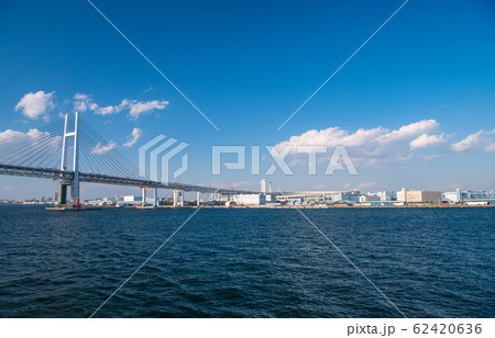 日本の横浜都市景観　新型コロナウイルス・大黒ふ頭客船ターミナルなどを望む＝2月5日撮影 62420636