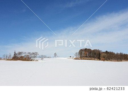 北海道の雪原 62421233