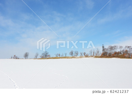 北海道の雪原 62421237