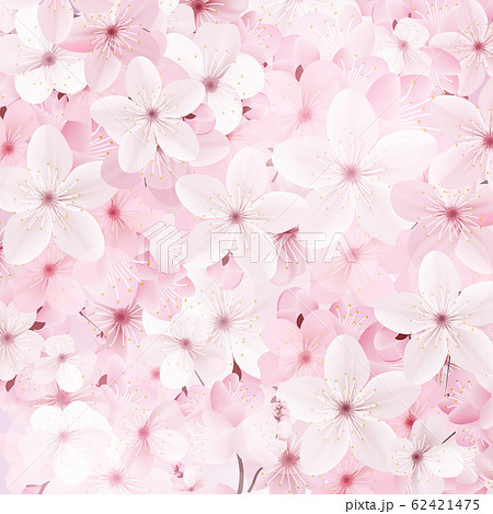 Blossoming pink sakura flowers background. Beautiful print 62421475