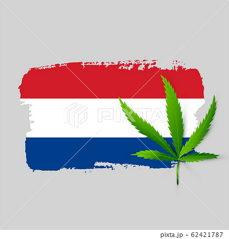 Netherlands flag with realistic cannabis Netherlands flag with realistic cannabis 62421787