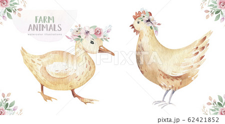 Farms animal isolated set. Cute domestic farm pets watercolor illustration. Chiken and duck baby cartoon drawing. 62421852