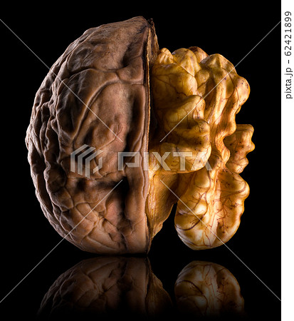 Macro photo of half opened walnut with kernel isolated on a black background 62421899