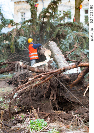 worker using saw worker using saw 62423299