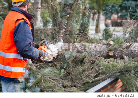 lumberman lumberman 62423322