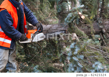 lumberman lumberman 62423324
